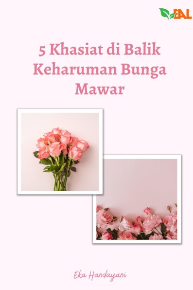 5 Khasiat di Balik Keharuman Bunga Mawar